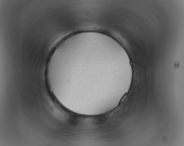 X0000091850058200710031650