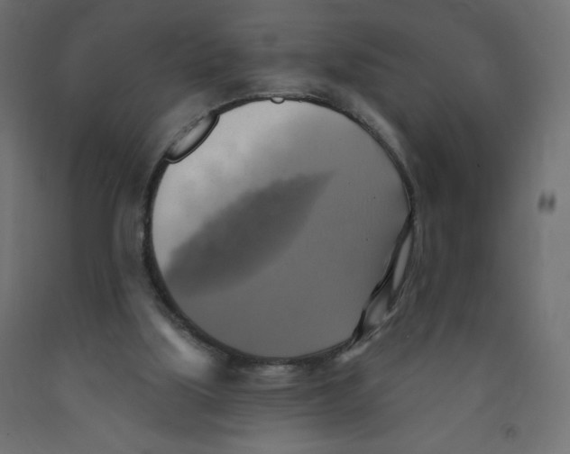 X0000091850059200710031650