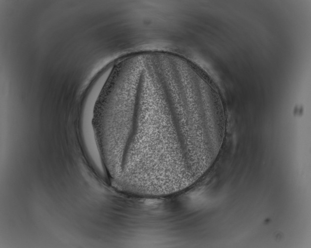X0000091850060200710031650