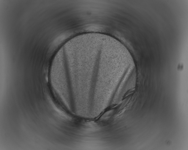 X0000091850062200710031650