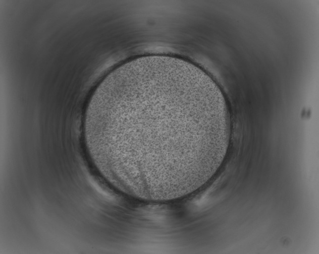 X0000091850063200710031650
