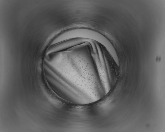 X0000091850064200710031650