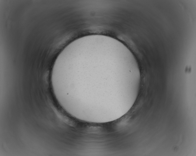 X0000091850066200710031650