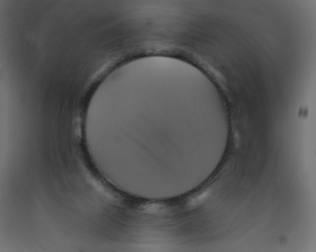 X0000091850067200710031650
