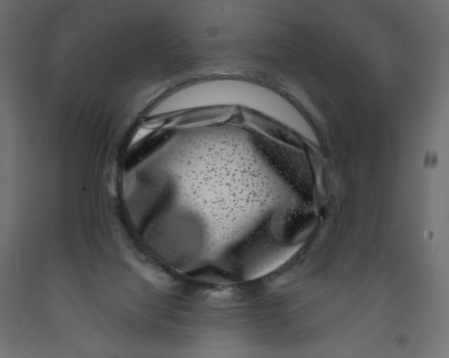 X0000091850068200710031650