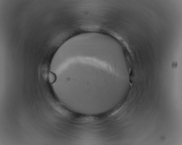 X0000091850069200710031650