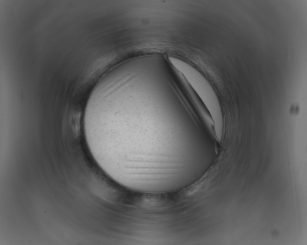 X0000091850070200710031650