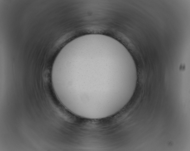 X0000091850071200710031650