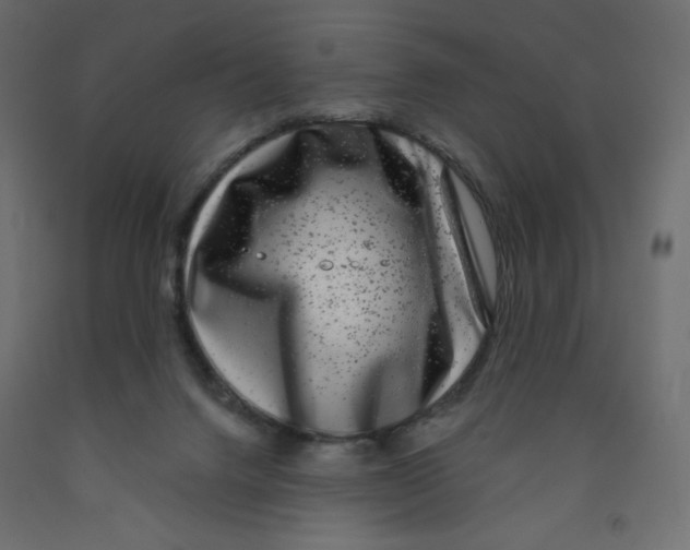 X0000091850072200710031650