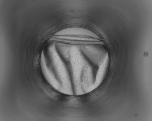 X0000091850073200710031650