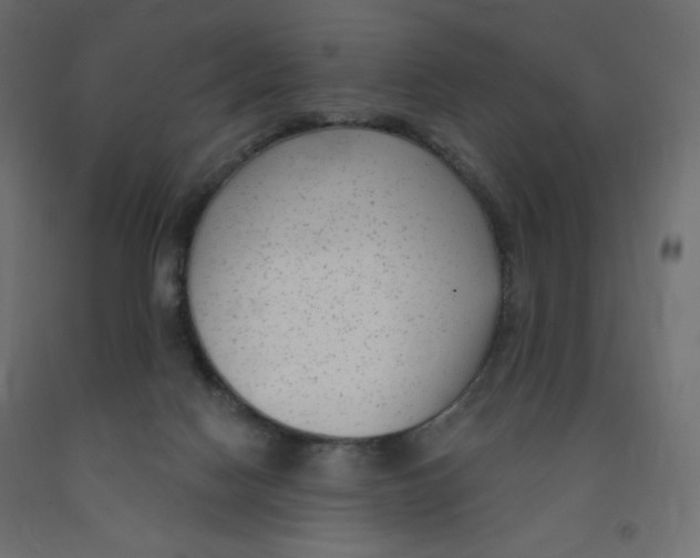 X0000091850074200710031650