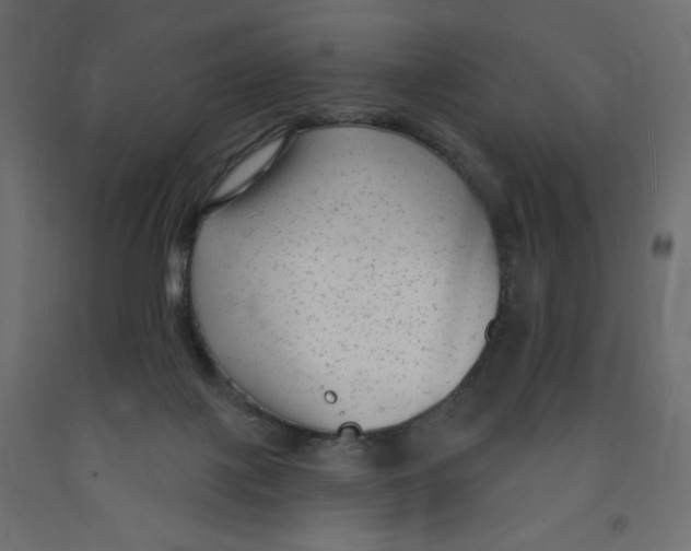 X0000091850075200710031650