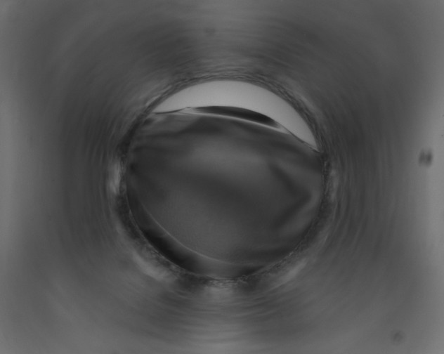 X0000091850076200710031650