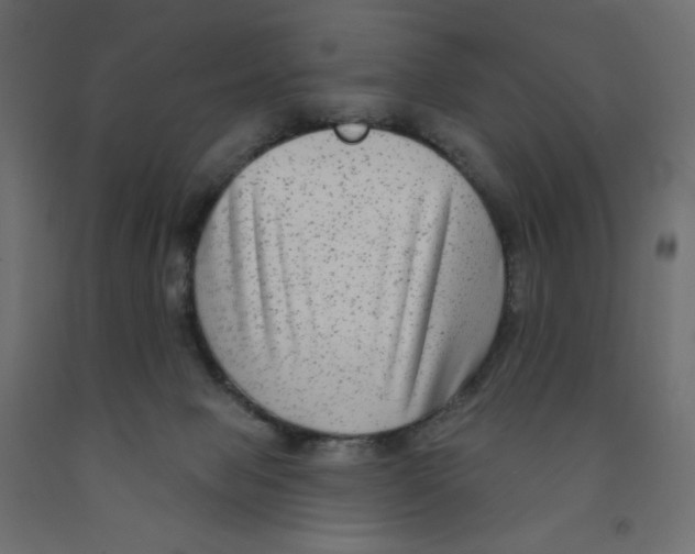 X0000091850077200710031650