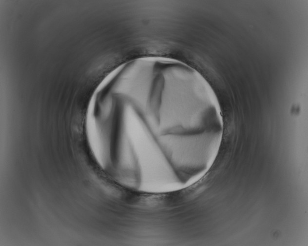 X0000091850078200710031650