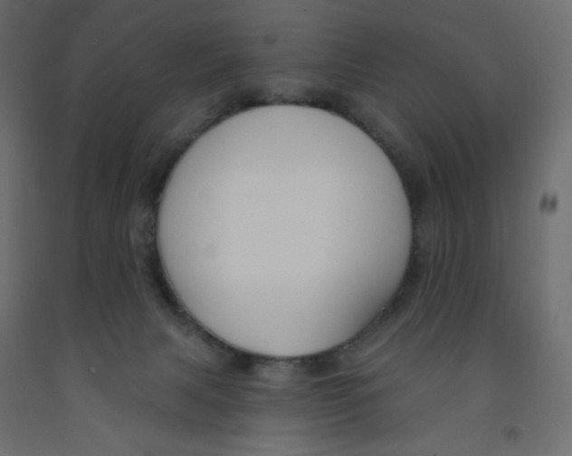 X0000091850079200710031650