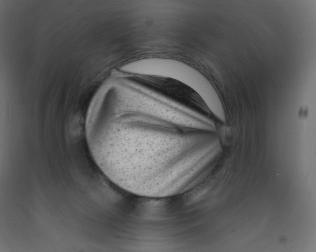 X0000091850081200710031650