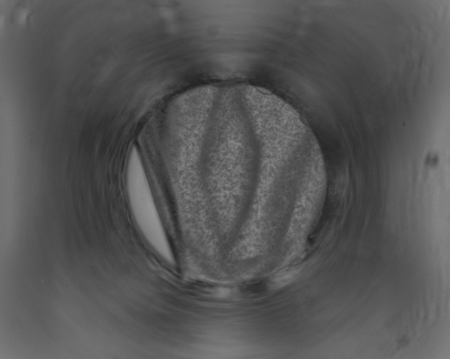 X0000091850084200710031650
