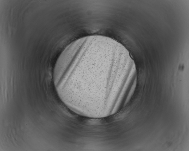 X0000091850085200710031650