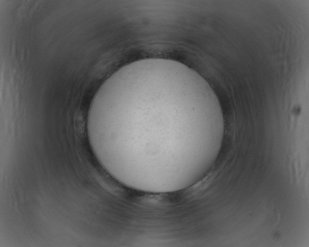 X0000091850086200710031650