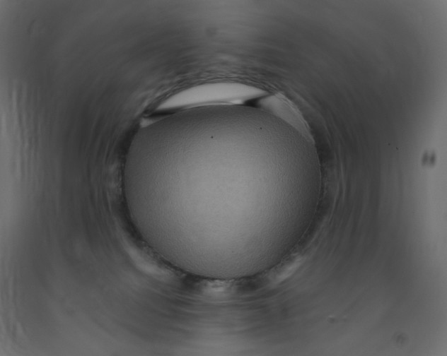 X0000091850088200710031650