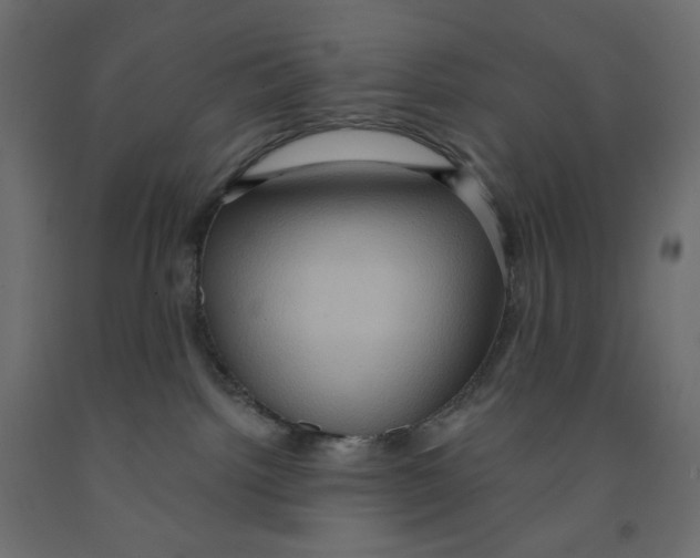 X0000091850092200710031650