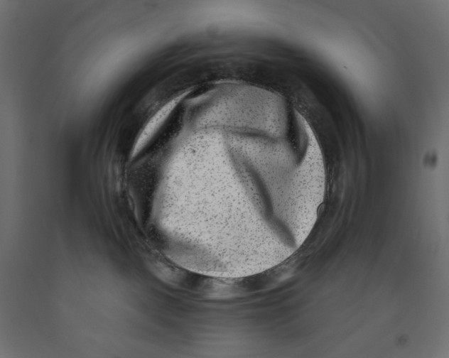 X0000091850093200710031650