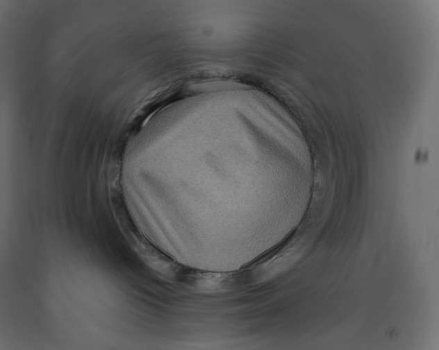 X0000091850096200710031650