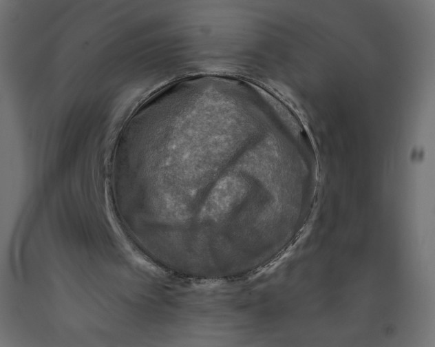 X0000091850097200710031649