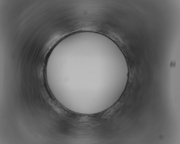 X0000091850098200710031649