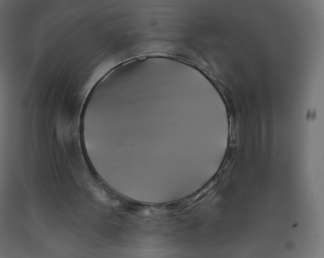X0000091850099200710031649