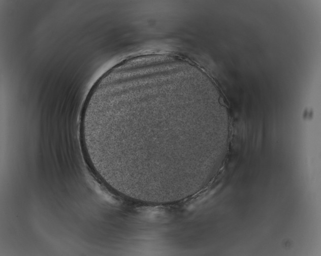 X0000091850100200710031649