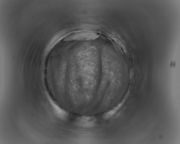 X0000091850101200710031649