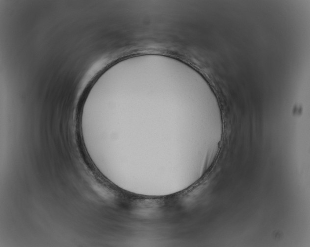 X0000091850102200710031649