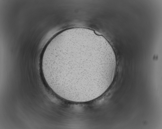 X0000091850103200710031649
