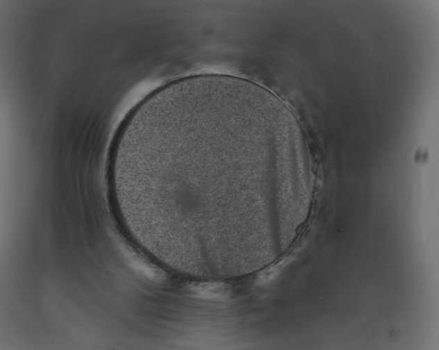 X0000091850104200710031649