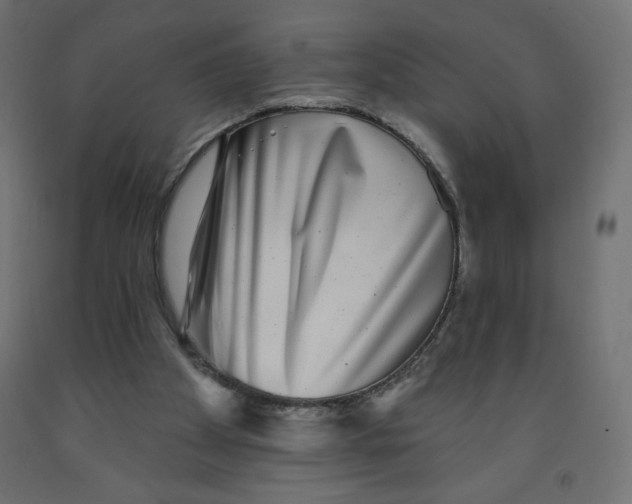 X0000091850105200710031649