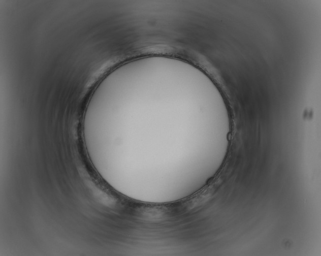 X0000091850106200710031649