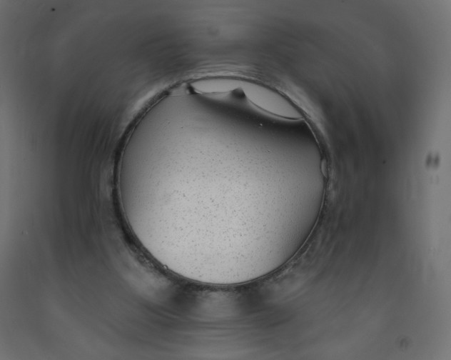 X0000091850107200710031649