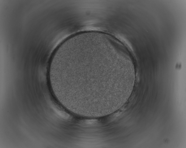 X0000091850108200710031649