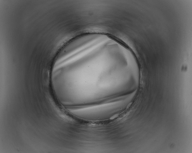 X0000091850109200710031649