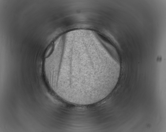 X0000091850110200710031649