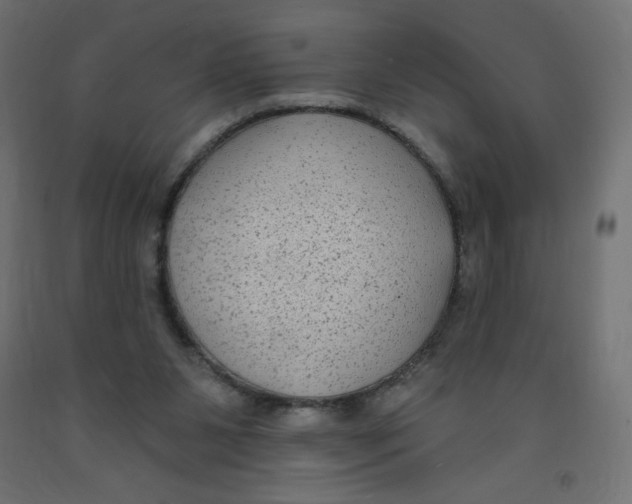 X0000091850111200710031649