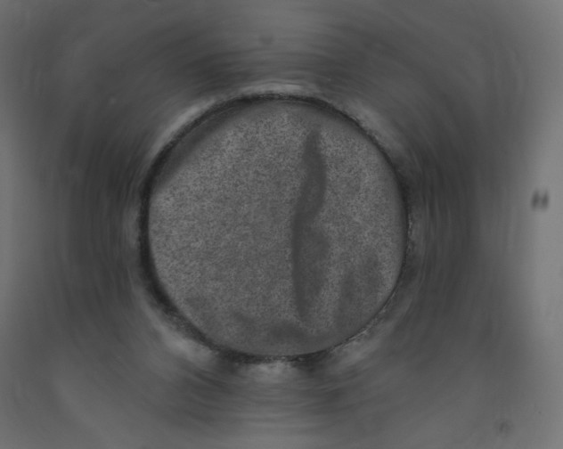 X0000091850112200710031649