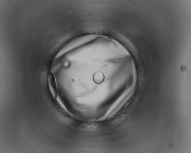 X0000091850113200710031649