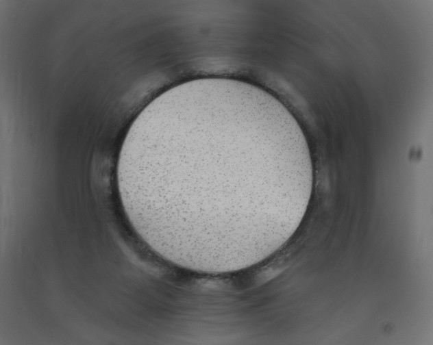 X0000091850115200710031649
