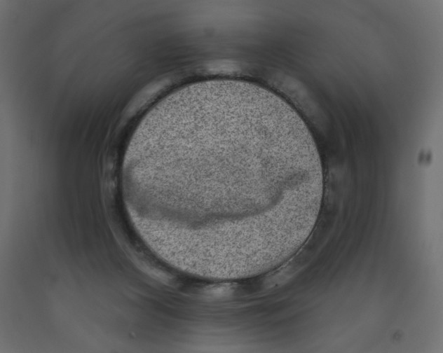 X0000091850116200710031649
