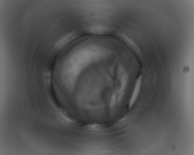 X0000091850117200710031649