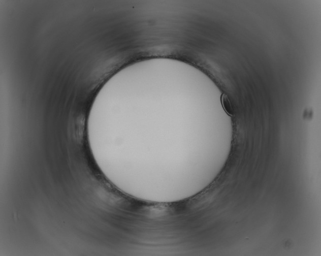 X0000091850118200710031649
