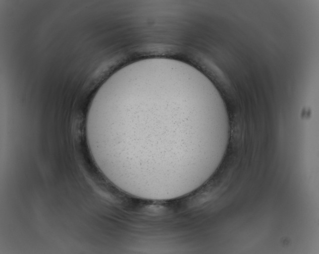 X0000091850119200710031649